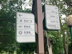 -三水森林公园