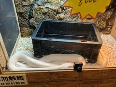 -姑苏二十四集(iD PARK 歌林公园店)