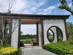 -东平国家森林公园
