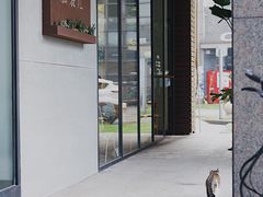 门面-猫里有甜