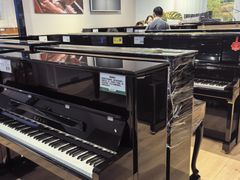 -柏斯音乐艺术中心·钢琴·吉他(世纪金源店)