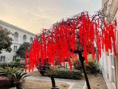 -上海佘山国家森林公园西佘山园