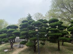 -朴园