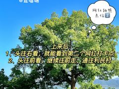 -东钱湖旅游度假区