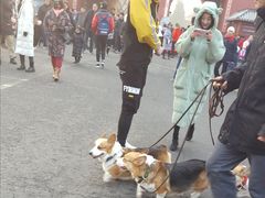 -东华门大街小区