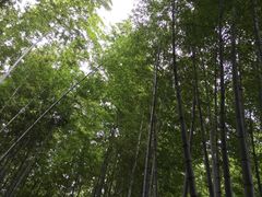 -宝岩生态观光园