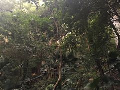 -香港大学