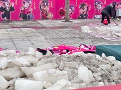 -王府井天主教堂