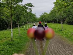 -上海海湾国家森林公园