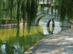 -团结湖公园