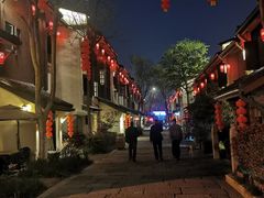 -运河游船(武林门码头)