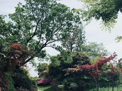 -桃花岛景观公园