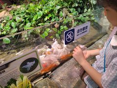 -正佳雨林生态植物园