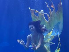 -华夏文旅海洋公园