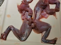 -三只耳火锅(宽窄巷子店)