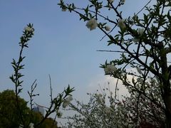 android_upload_pic-艾溪湖湿地公园