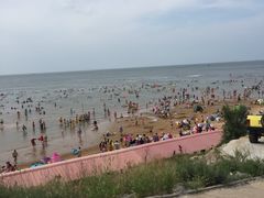 -春华海鲜城(广场西苑店)