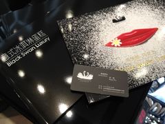 宣传册-BLACKSWAN黑天鹅(环球店)