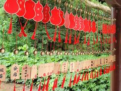 -东钱湖小普陀景区