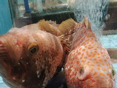 -阿伟海鲜楼·福建菜(延寿店)