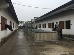 -松声马术俱乐部