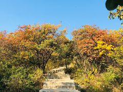 -博山九龙峪风景区