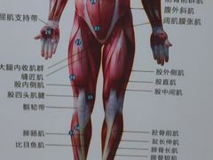 -通透堂中医·精准推拿(旗舰店)