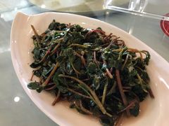 蒜蓉炒马齿苋-稻香村鱼庄