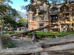 -厦门大学(思明校区)