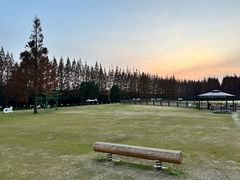 -黄海国家森林公园