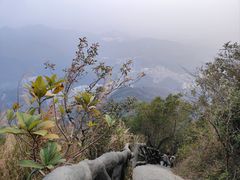 -梧桐山风景名胜区