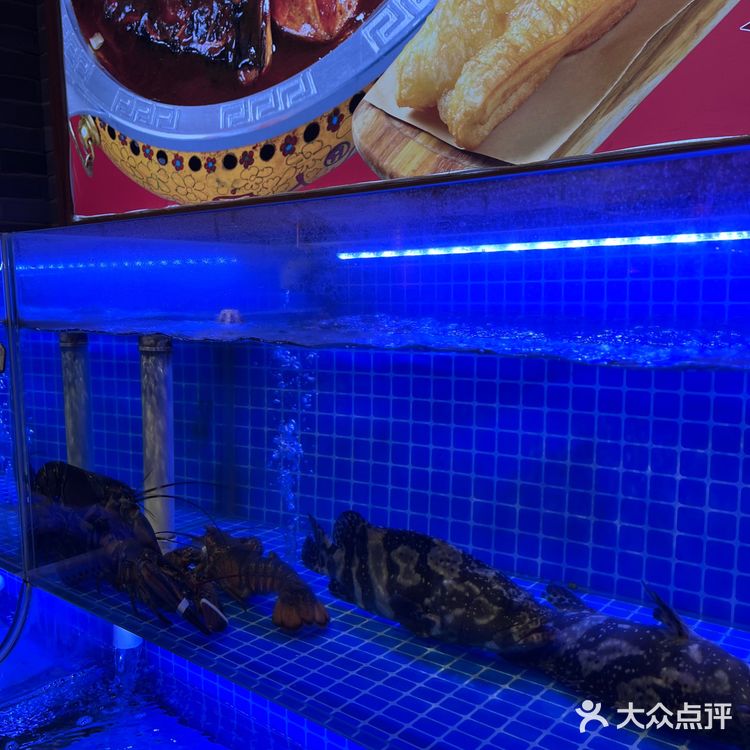 来西北人家莜面村吃羊排
