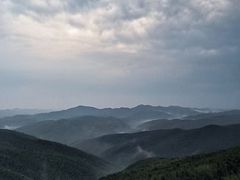 -蔡伦竹海