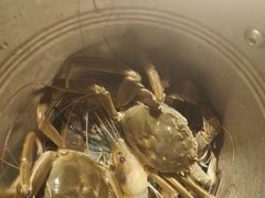 -星伦多 自助料理(圆融店)
