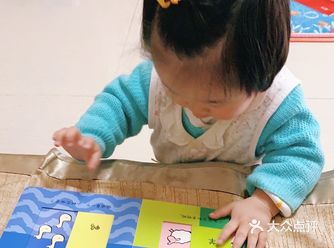 低幼龄宝宝超爱——《宝宝的第一年》