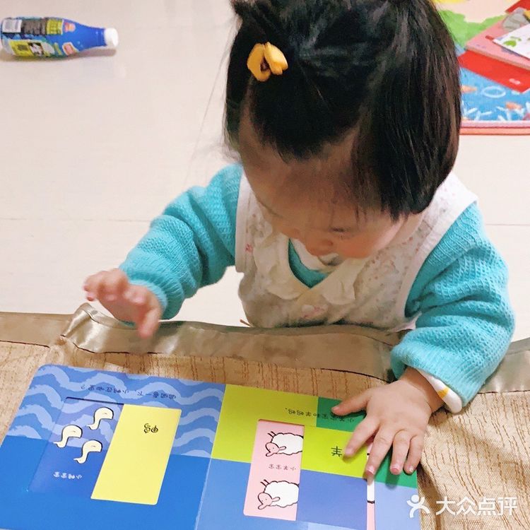 低幼龄宝宝超爱——《宝宝的第一年》