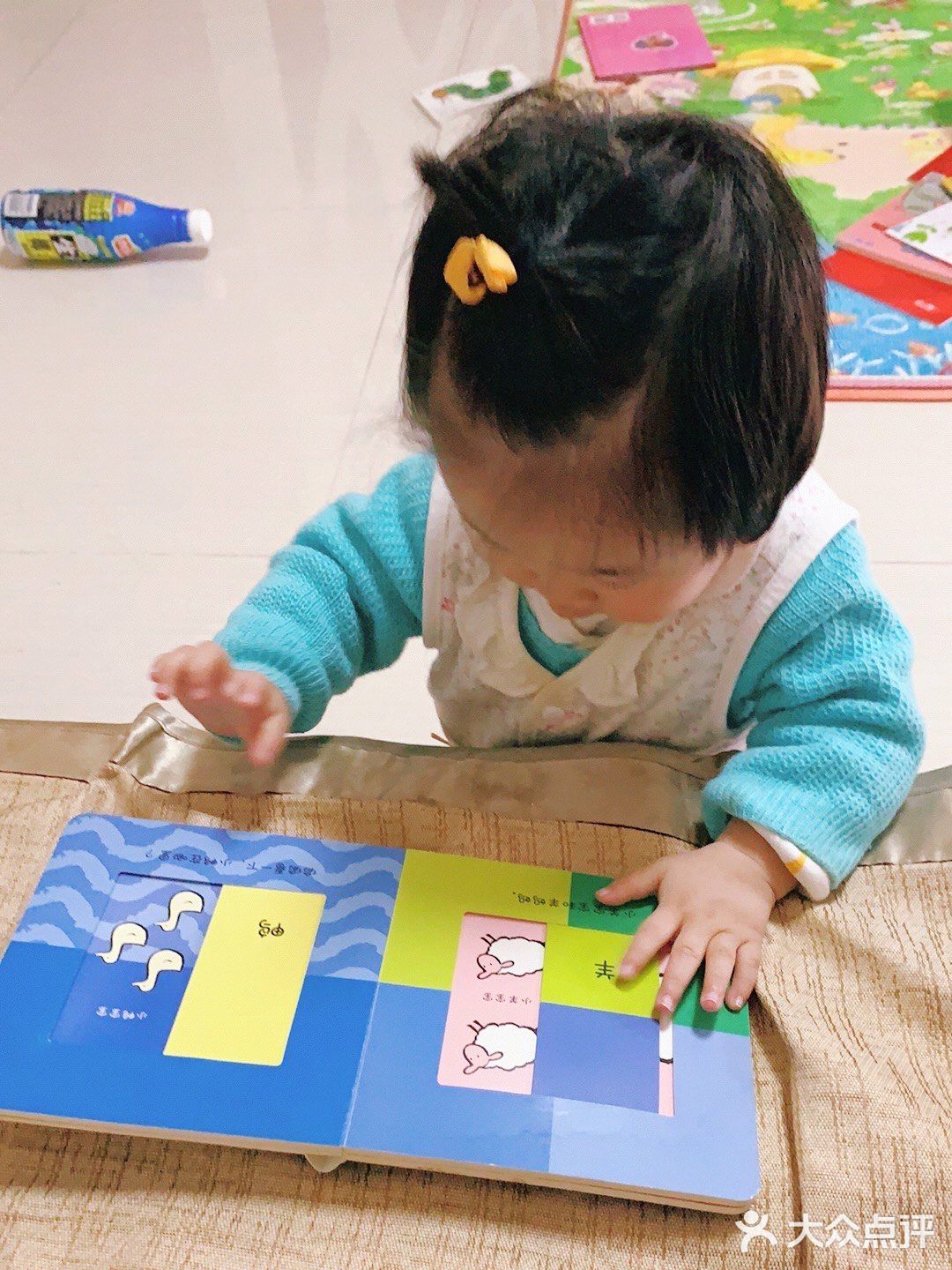 低幼龄宝宝超爱——《宝宝的第一年》