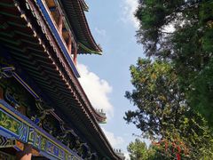 -竹林寺
