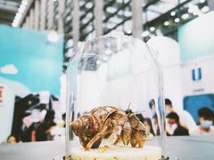 -深圳会展中心
