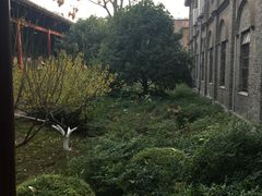 -中共中央农民运动讲习所旧址