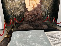-亳州博物馆