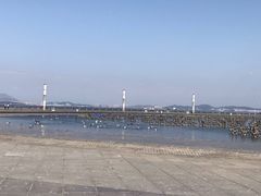 -东港音乐喷泉广场