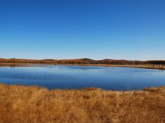 -塞罕坝国家级自然保护区