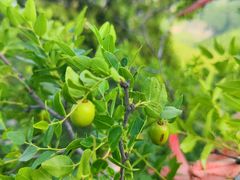 -青州市云门山风景区