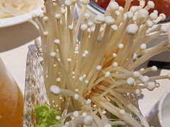 -蒙都43°9羊火锅·赤峰美食(宁城店)
