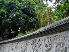 -南宁良凤江国家森林公园