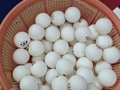 -大凤凰乒乓球馆