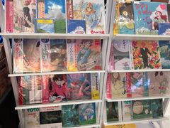 -浣熊唱片店(上海影城店)