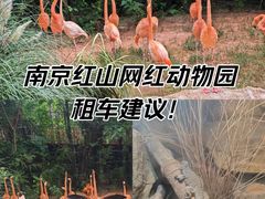-红山森林动物园