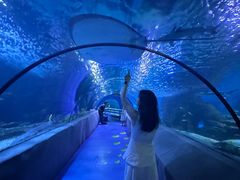 -太平洋海底世界